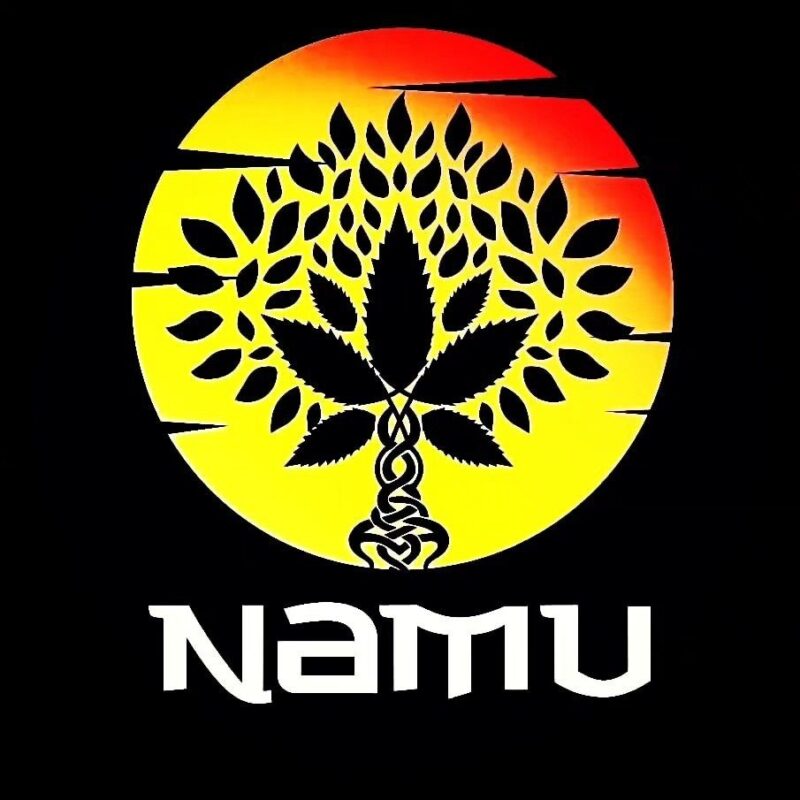 namudisposable.com